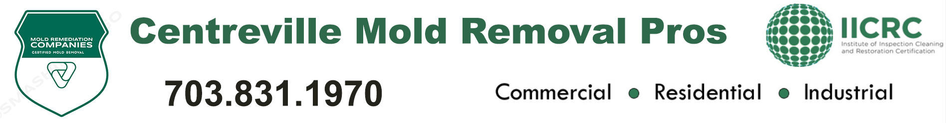 Centreville Mold Removal Pros